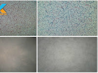 Jasa Pengecatan Wash Paint Jakarta Timur 