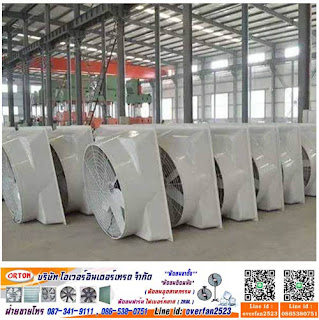 %25E0%25B8%2582%25E0%25B8%25B2%25E0%25B8%25A2%25E0%25B8%259E%25E0%25B8%25B1%25E0%25B8%2594%25E0%25B8%25A5%25E0%25B8%25A1%25E0%25B9%2584%25E0%25B8%259F%25E0%25B9%2580%25E0%25B8%259A%25E0%25B8%25AD%25E0%25B8%25A3%25E0%25B9%258C%25E0%25B8%2581%25E0%25B8%25A5%25E0%25B8%25B2%25E0%25B8%25AA