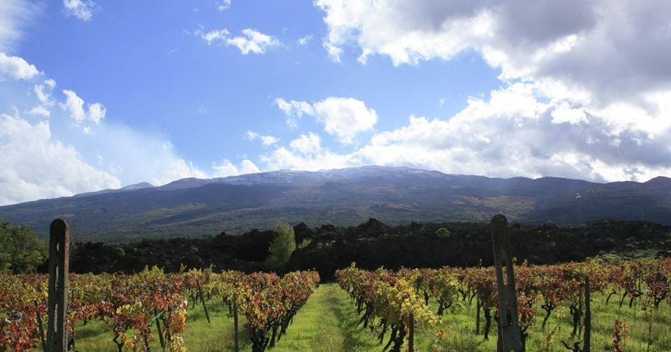 SICILIA MONTE MOJO CT AZ. AGRICOLA FILIPPO GRASSO LIETI CALICI