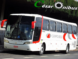 Busscar Vissta Buss-LO 2001