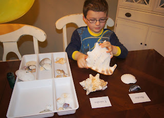Kids Shell & Seashore Exploration - 
