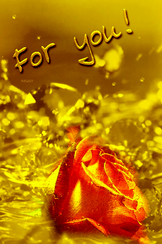 For%2BYou%2BAnimation.gif