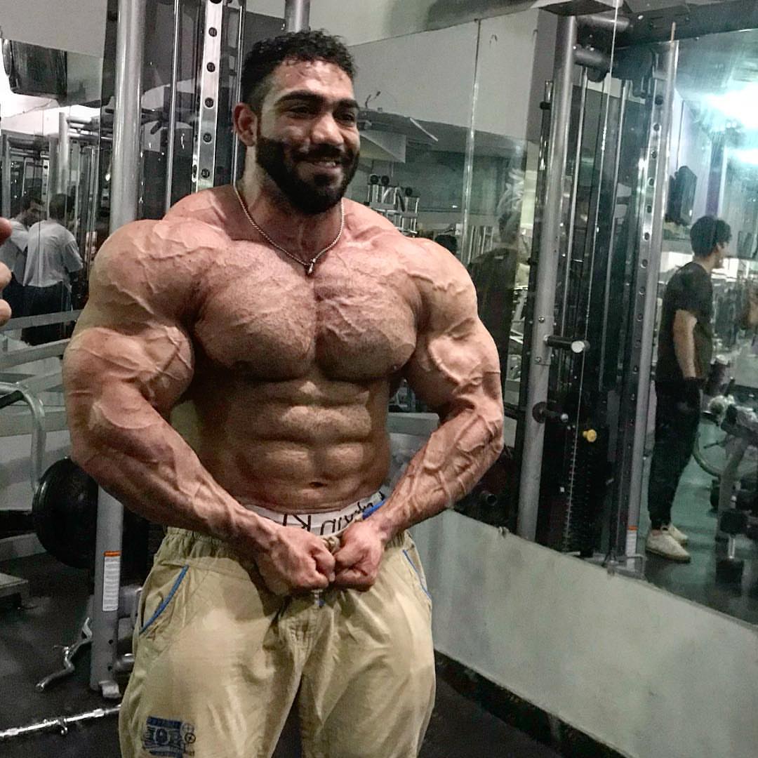 Muscle Lover The bodybuilding King of Afghanistan IFBB Pro Yasin