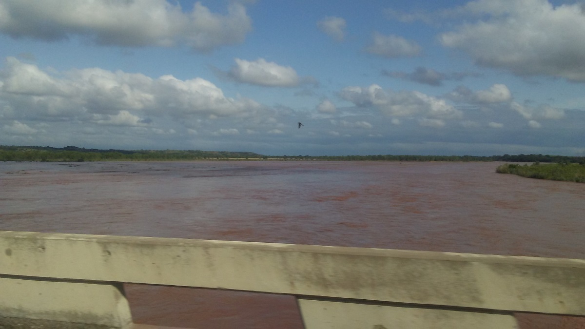 Bayou Renaissance Man We Need A Season To Dry Out From Summer