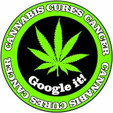 CANNABIS CURES