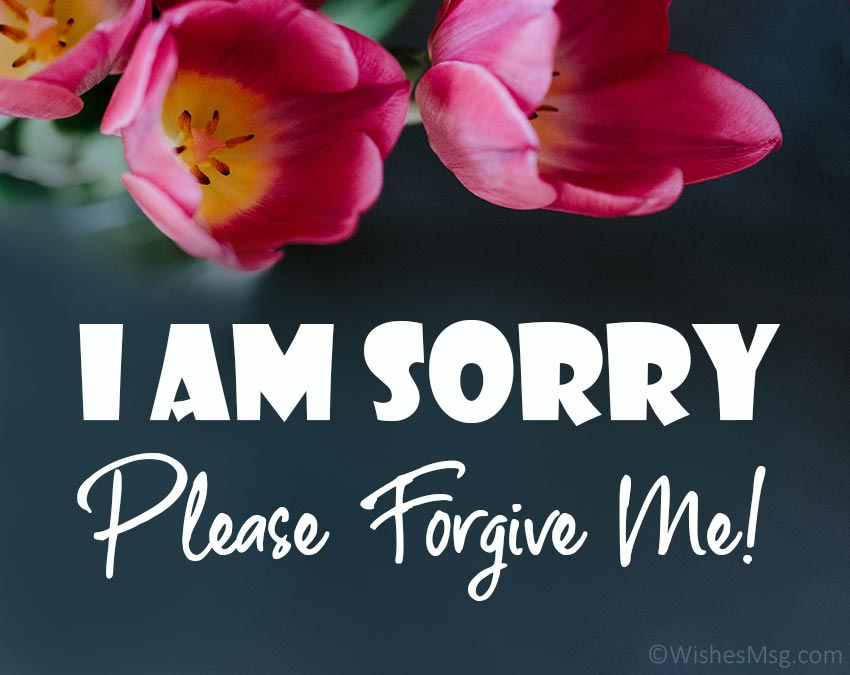 фото с надписью sorry. Apologizing to a friend. Friends sorry. Sorry картинка мальчик. Friends sorry.