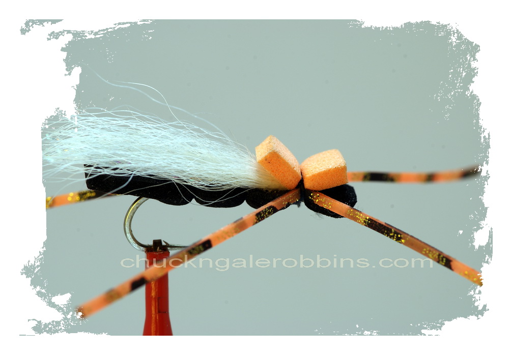 Chuck RobbinsOutdoors Fly Fishing Fly Friday