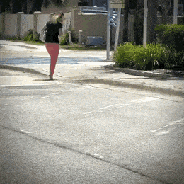 daily_gifdump_3539_17.gif
