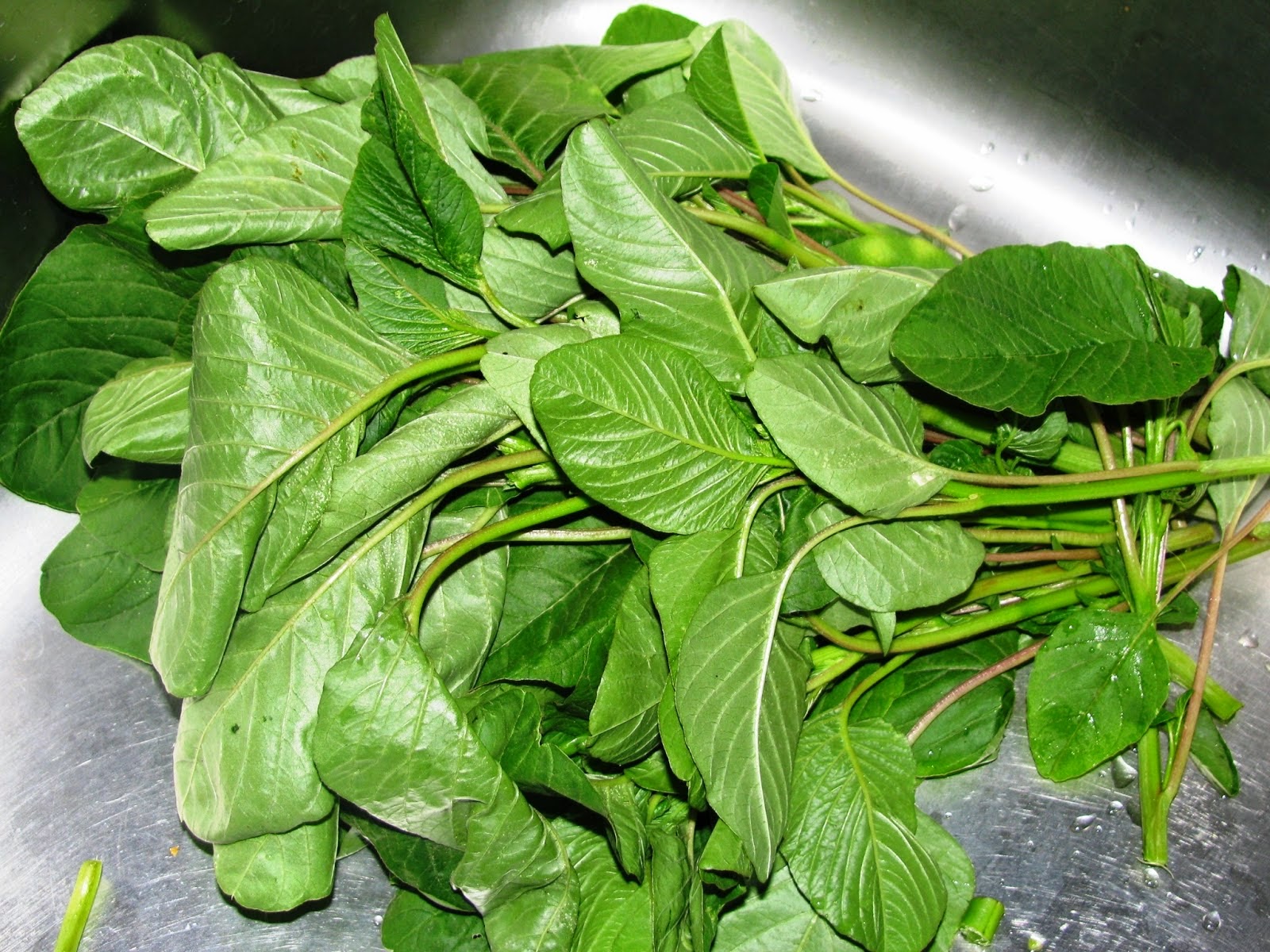 MWANZA EDEN HERBAL CLINIC