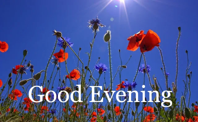 Image of Good Morning Image of Good Morning
