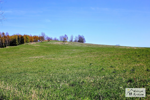 Chełmiec - Góry Wałbrzyskie (KGP)