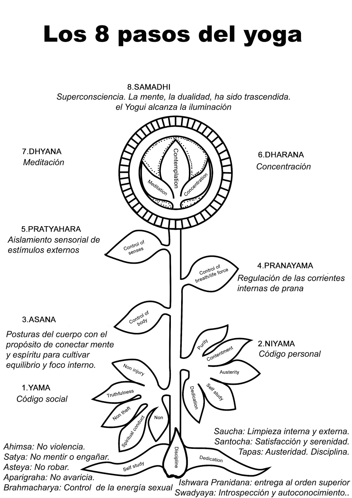 Ashtanga Toni Romero Los 8 pasos del Yoga