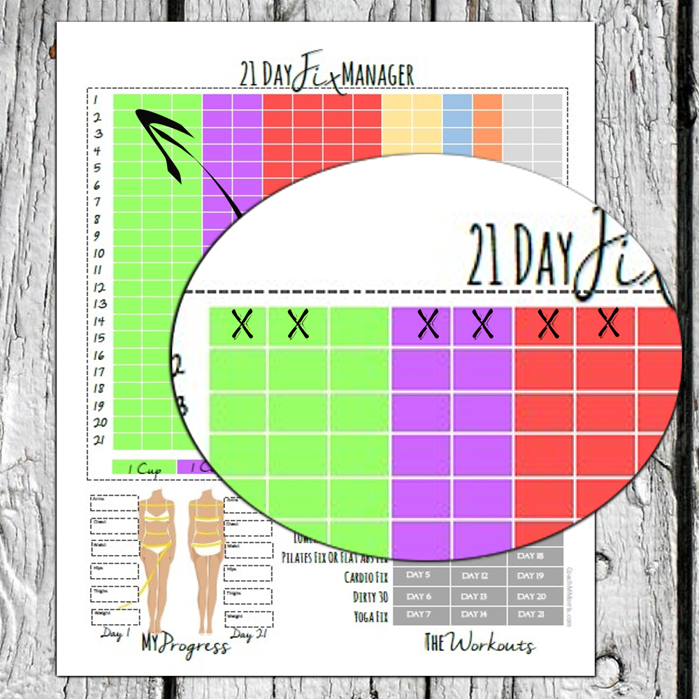 Planner Shop 21 Day Fix Program MANAGER Planner Shop 21 Day Fix Program MANAGER