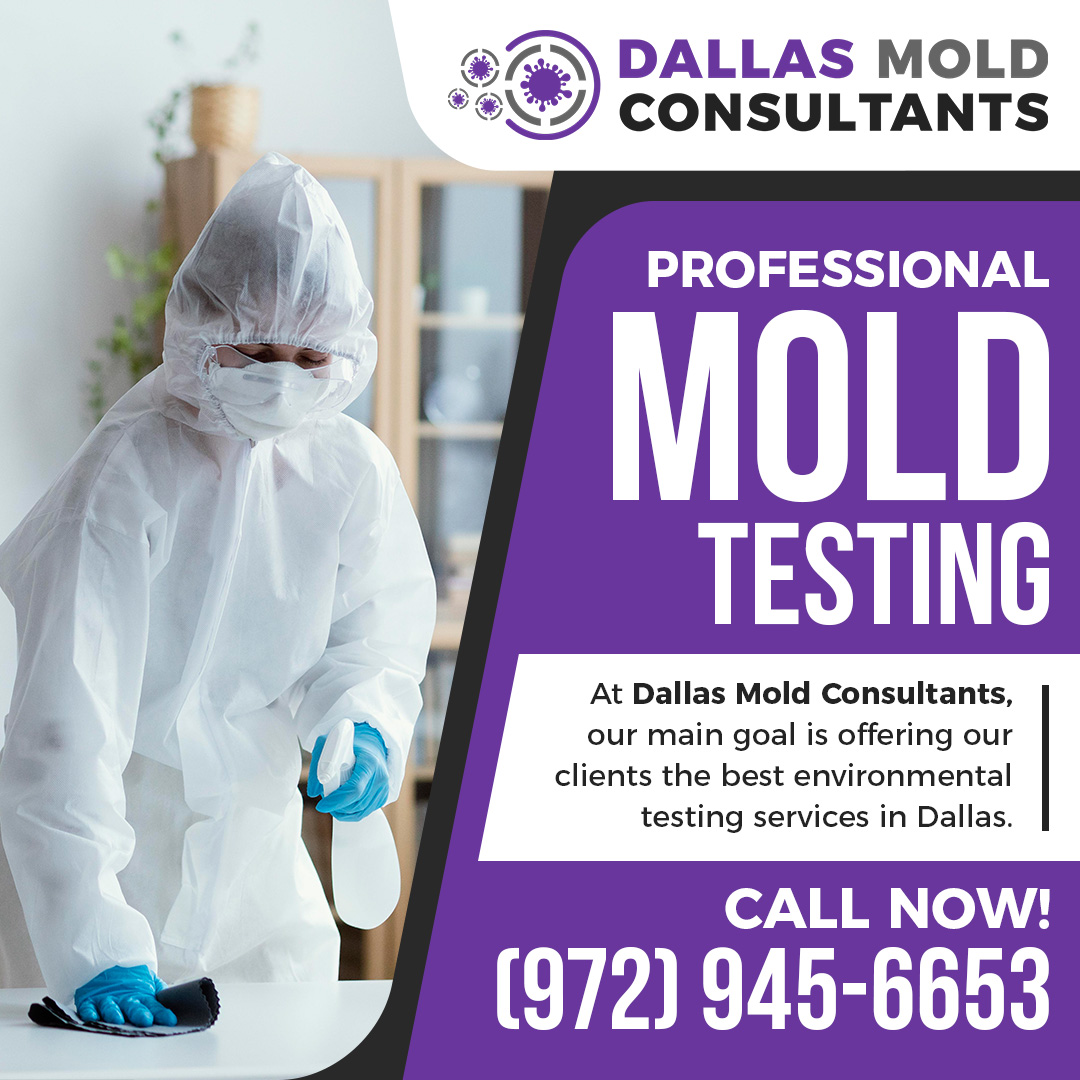 Dallas Mold Consultants