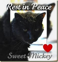 Farewell Dear Mickey