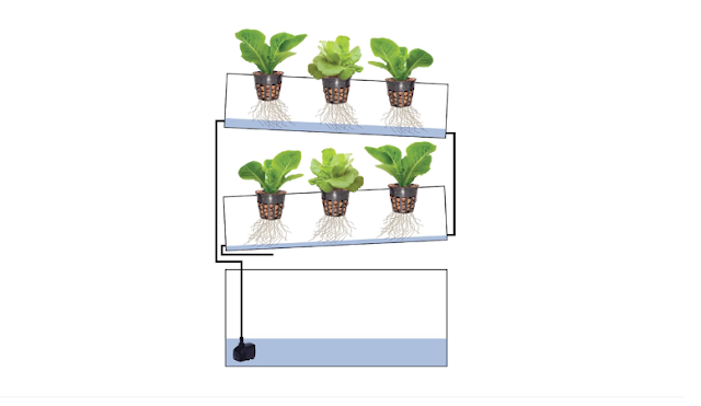  Hydroponic Kheti