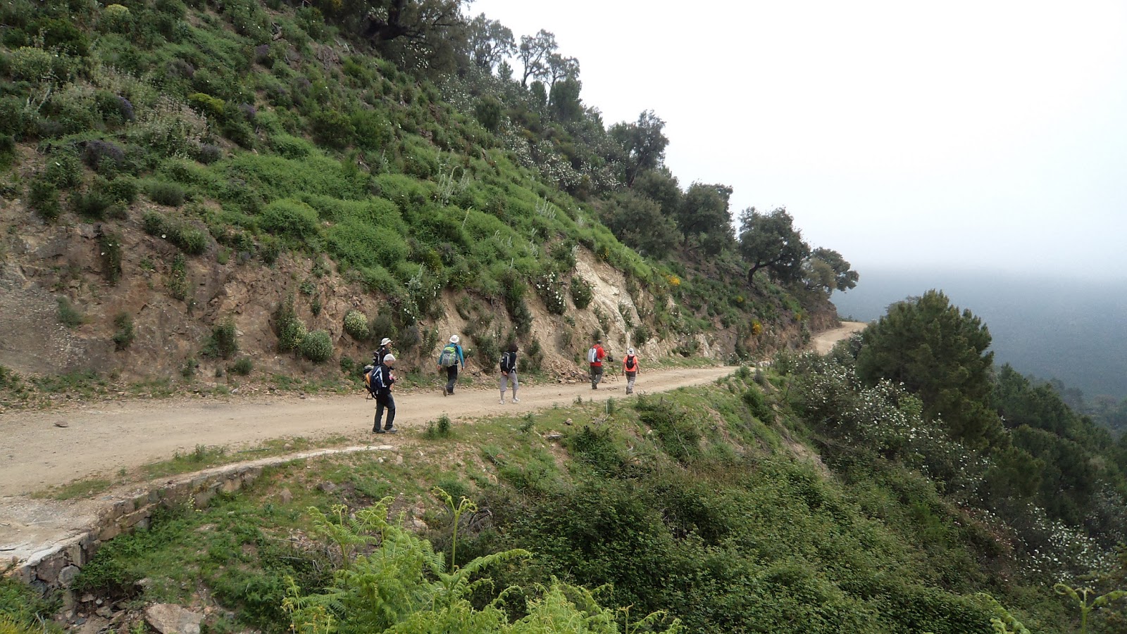 Itinerariun 2: Ruta : Castaño Santo de Istan ( Sierra de Istan )