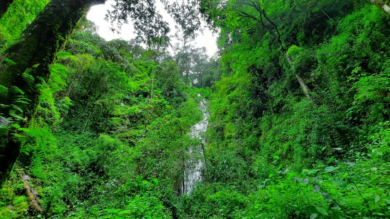 GUERRERO Sierra de Guerrero ¡Más que amapola! GUERRERO Sierra de Guerrero ¡Más que amapola!