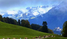 صور رائعة لكيفية صنع الجبنة السويسرية!