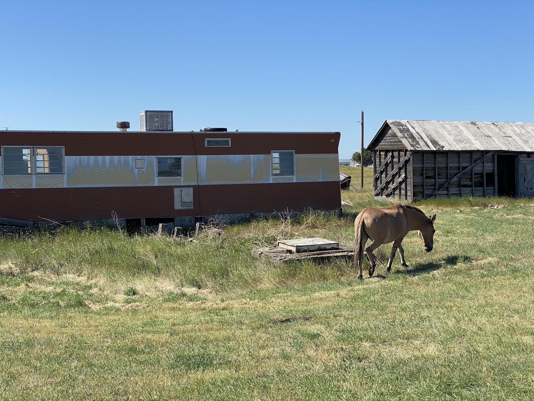 Blog 4049 Jersey Lilly, Ingomar, MT 7/18/2020