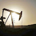 La OPEP pospone decisión sobre los niveles de producción en 2021 hasta hoy