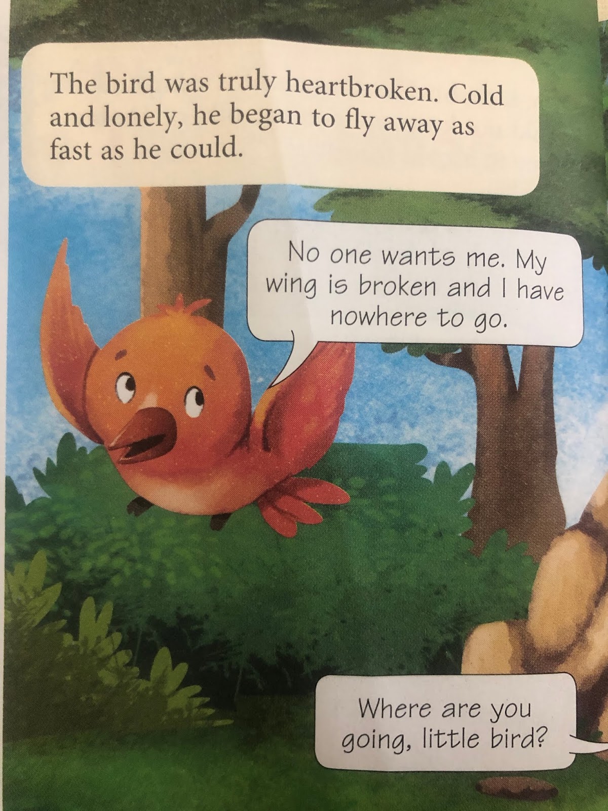 L1 Why Evergreen Trees Never Lose Their Leaves (Contd.)