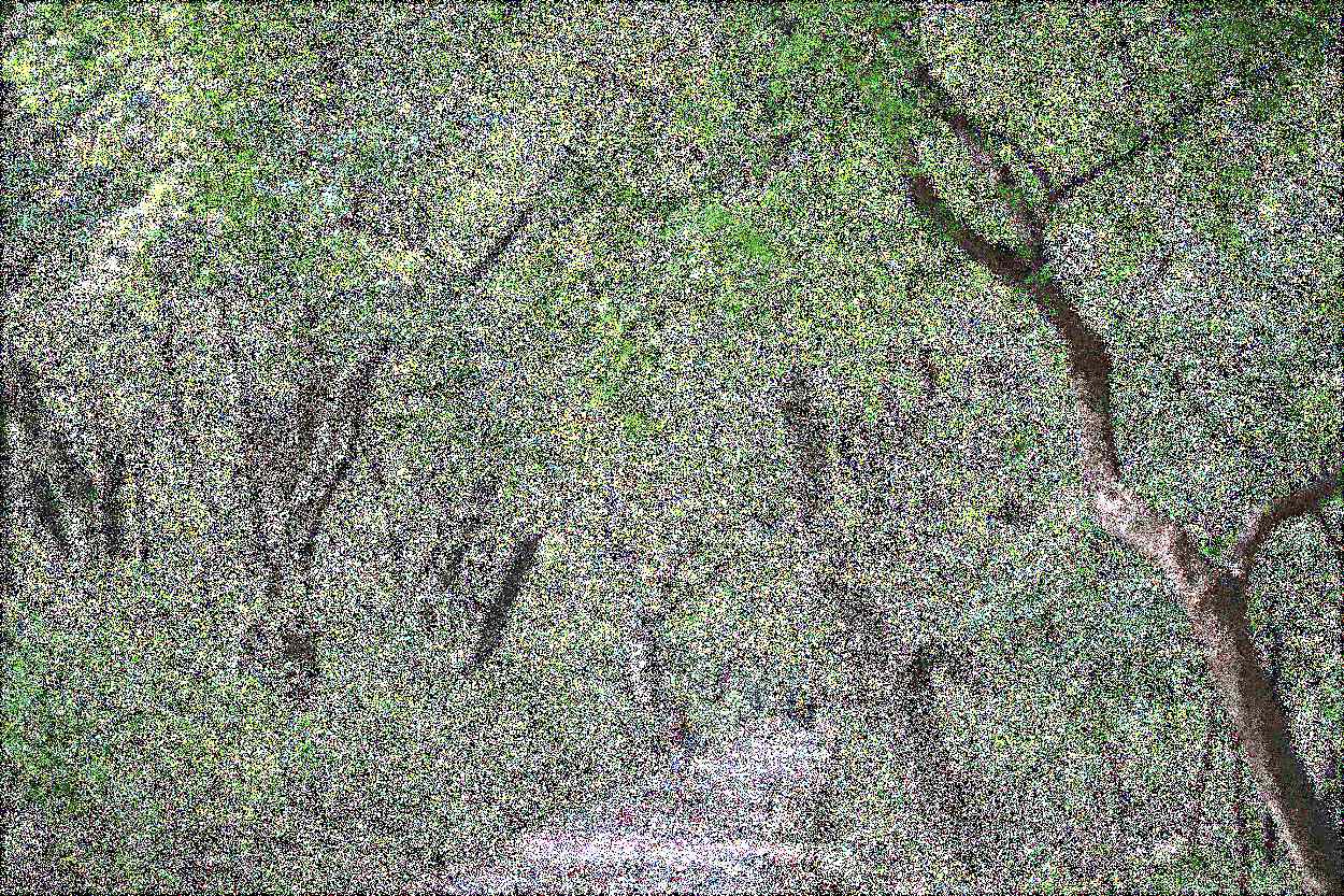 공주 계룡산 갑사