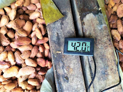 Control de la temperatura durante la fermentación. Control de temperatura en cajón de fermentación.