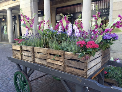 Flower Shop Stories