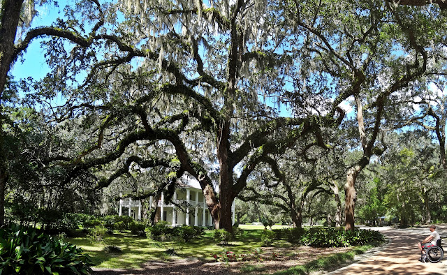 Reisetipps Florida Usa Eden Gardens State Park Santa Rosa Beach