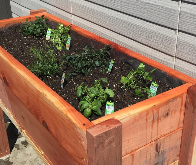 Elevated Herb Garden Building Plans - Naturally Creative Mama