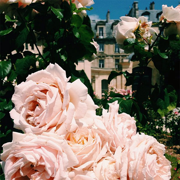 {take me away | TRAVEL DIARY : paris by instagram}