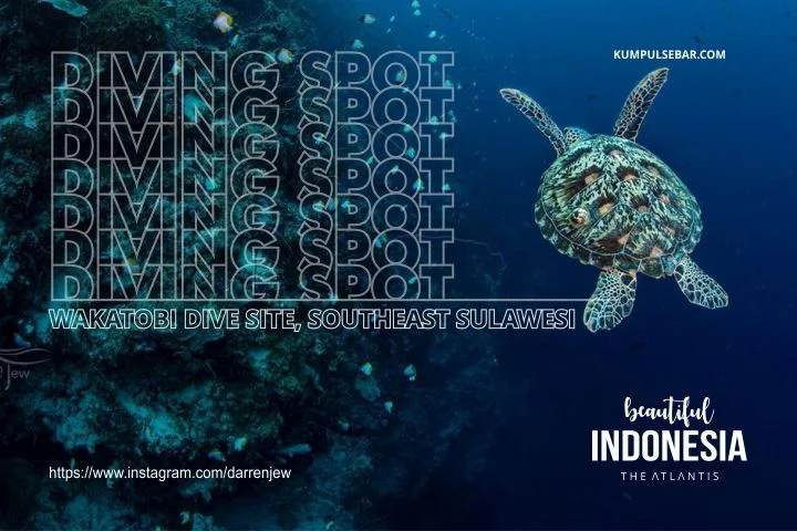 diving spot in indonesia