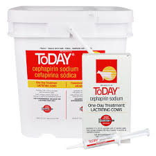 sodium konseling obat care action