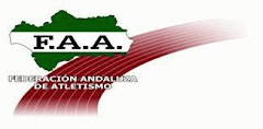 Enlace Directo con: FEDERACION ANDALUZA