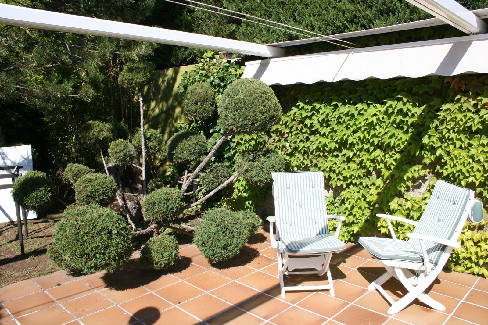 Cynara. Arquitectura y Paisaje: EN EL PANTANO - Jardín unifamiliar en