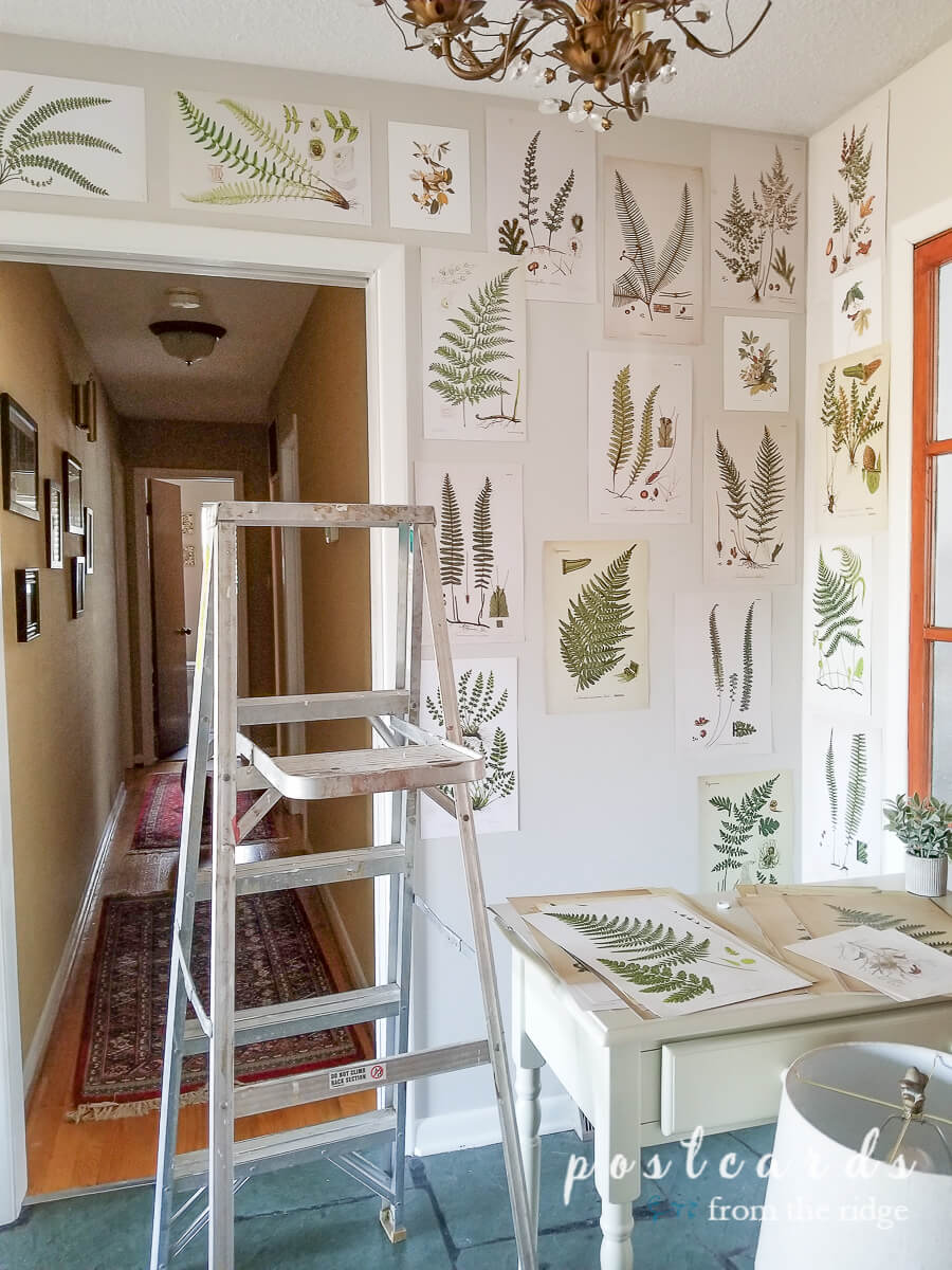 ladder and fern prints on wall