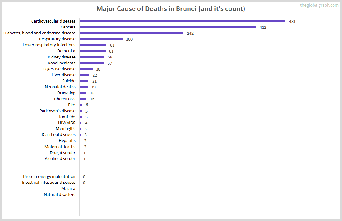 Brunei Health | 2021 | The Global Graph