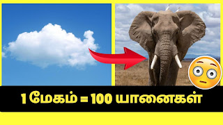 Amazing facts about world in tamil, interesting facts in tamil