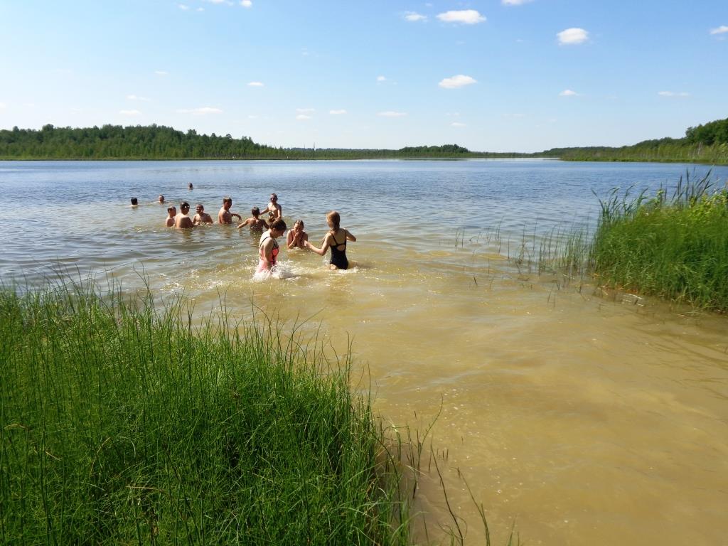 Погода кривые озерах. Озеро Криводановка Новосибирск. Озеро Кривое Криводановка. Кривое (озеро, Витебская область). Озеро Кривое Тюмень.