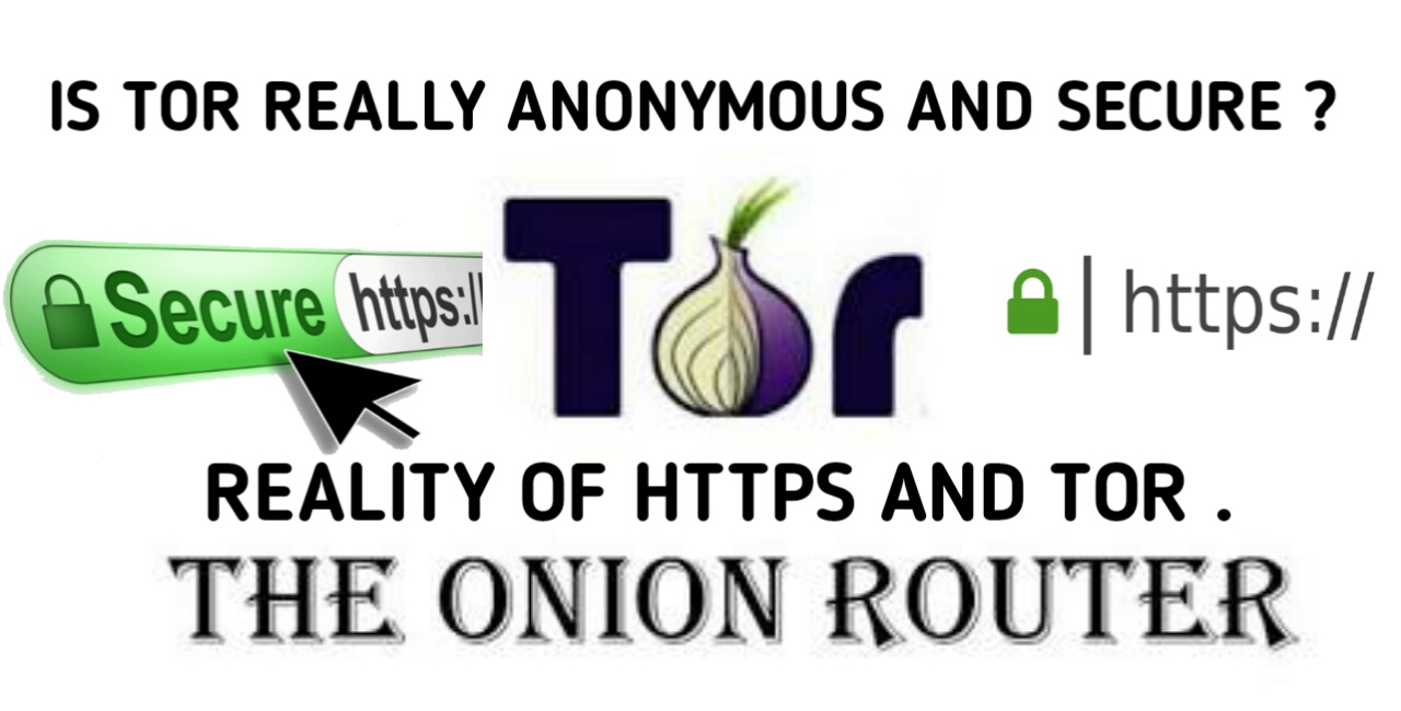 Tor Onion Search