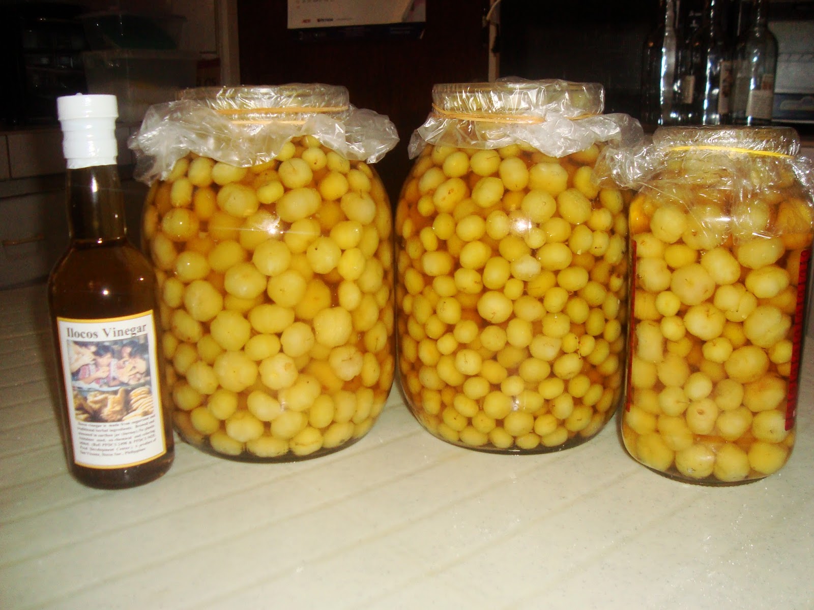 Living with Nature School on Blog by Dr. Abercio V. Rotor 2024