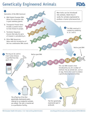 Genetic Engineering And It's Applications
