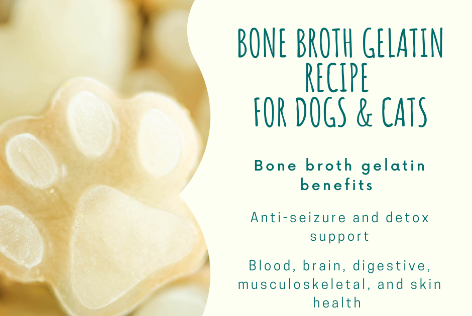 Bone Broth Gelatin (Gel, Jelly) for Dogs, Cats Health