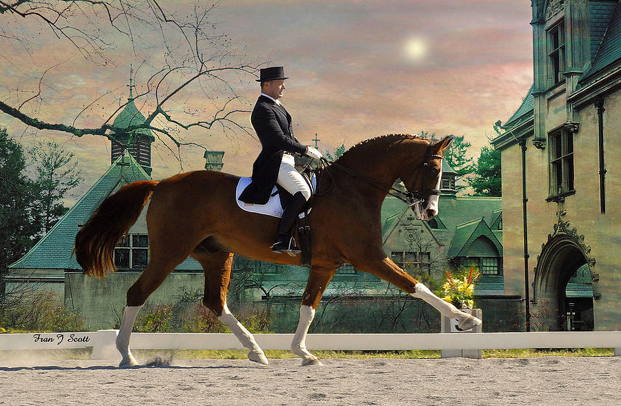 The Art of Dressage Pets Worls