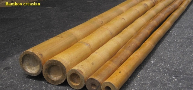 Quality Bamboo and Asian Thatch: Bamboo Poles-bamboo sticks-bamboo cane grade A for sale\u2013Quality ...
