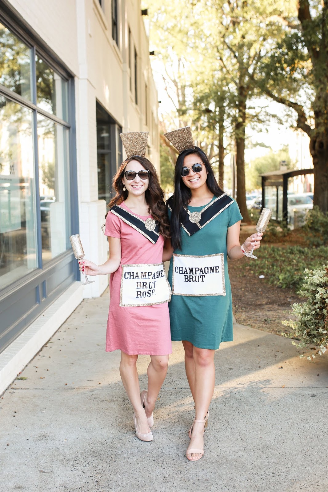 DIY Halloween Costume Champagne and Rosé Bottles [ The Daily Amy ]