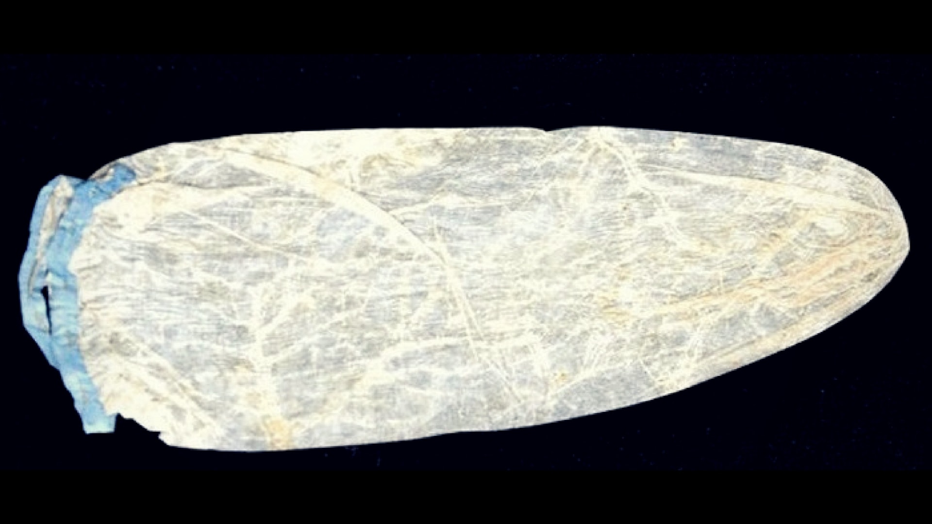 The world's most expensive condom, built 200 years ago, will be shocked