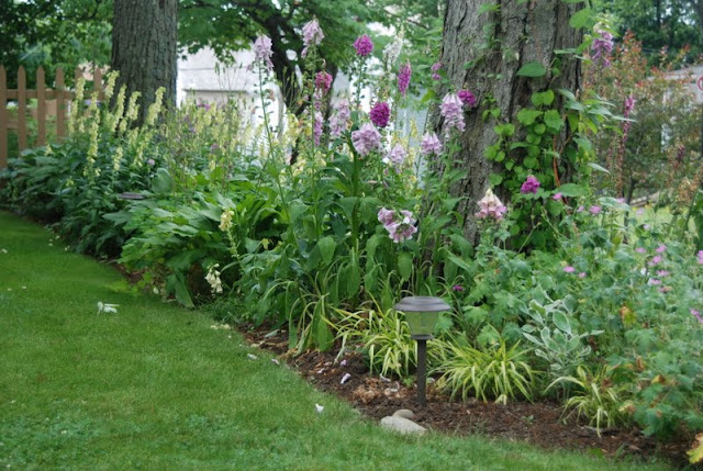 Wife, Mother, Gardener: Shade Path Garden Succession 2011