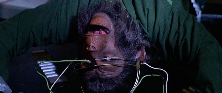 завоевание планеты обезьян. завоевание планеты обезьян 1972. планета обезьян 1972. завоевание планеты обезьян. планета обезьян 4 1972.